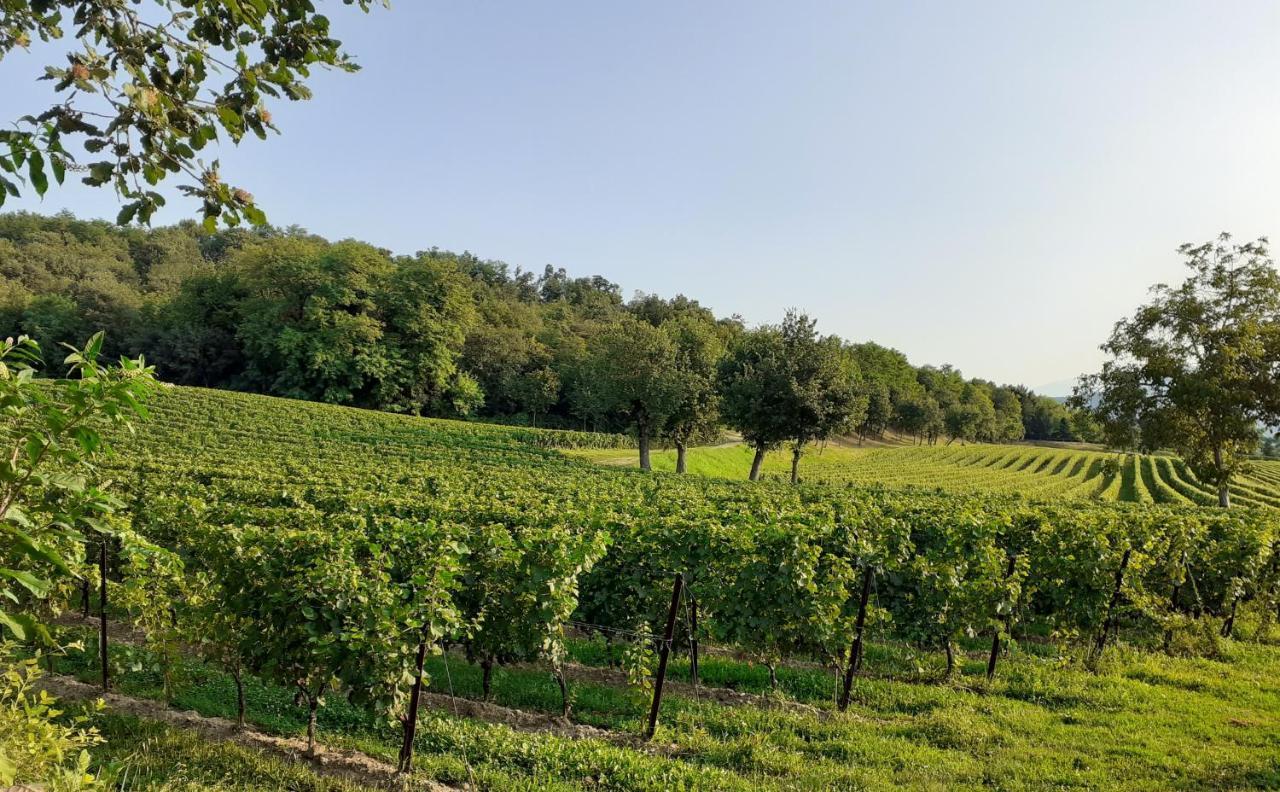 Vicolo Del Nido B&B Paderno Franciacorta エクステリア 写真