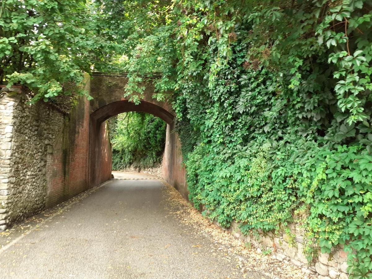 Vicolo Del Nido B&B Paderno Franciacorta エクステリア 写真