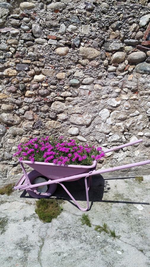 Vicolo Del Nido B&B Paderno Franciacorta エクステリア 写真
